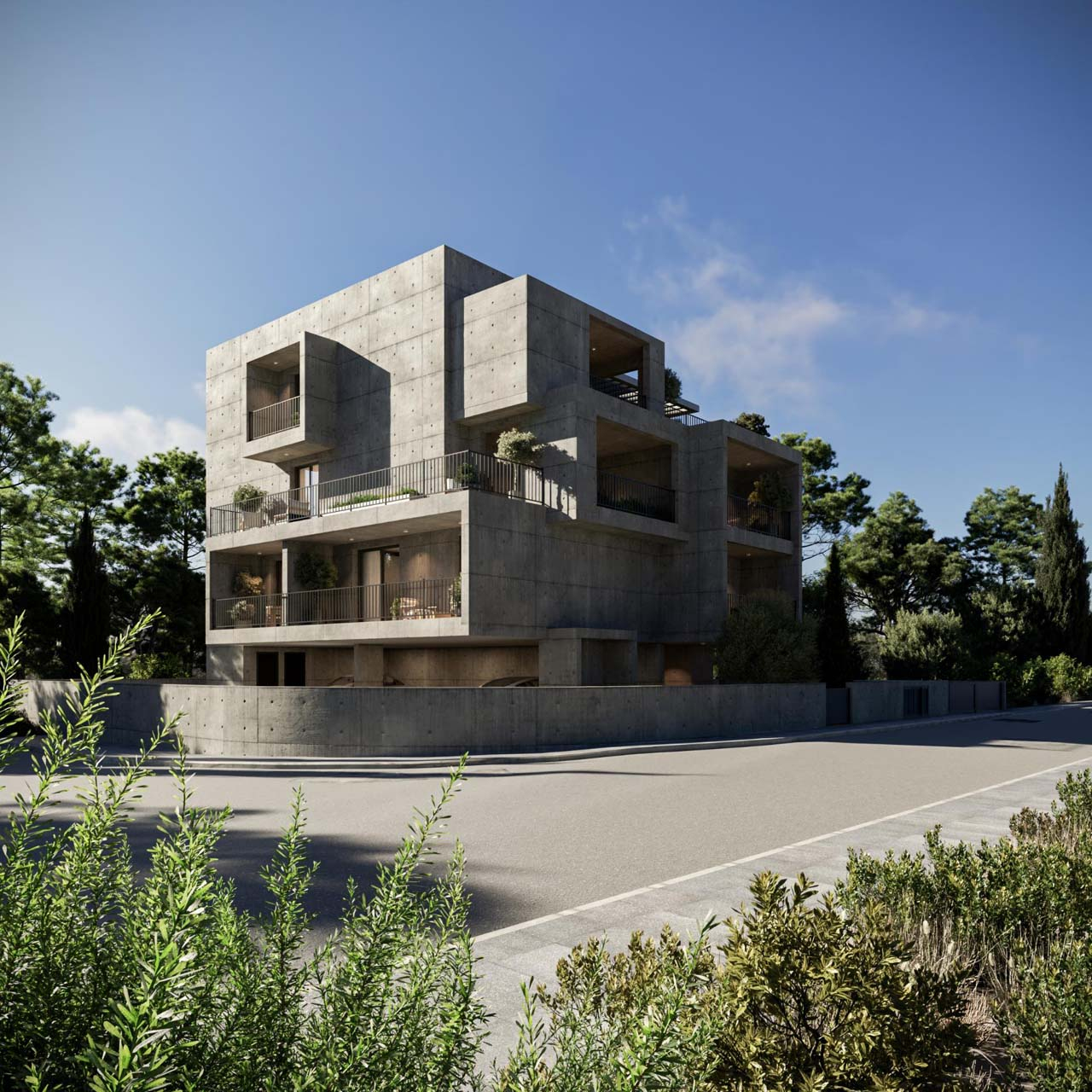 Project image