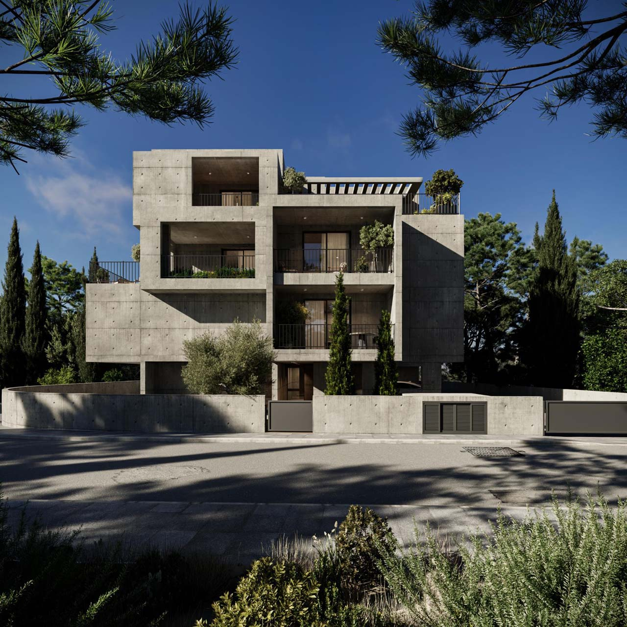 Project image