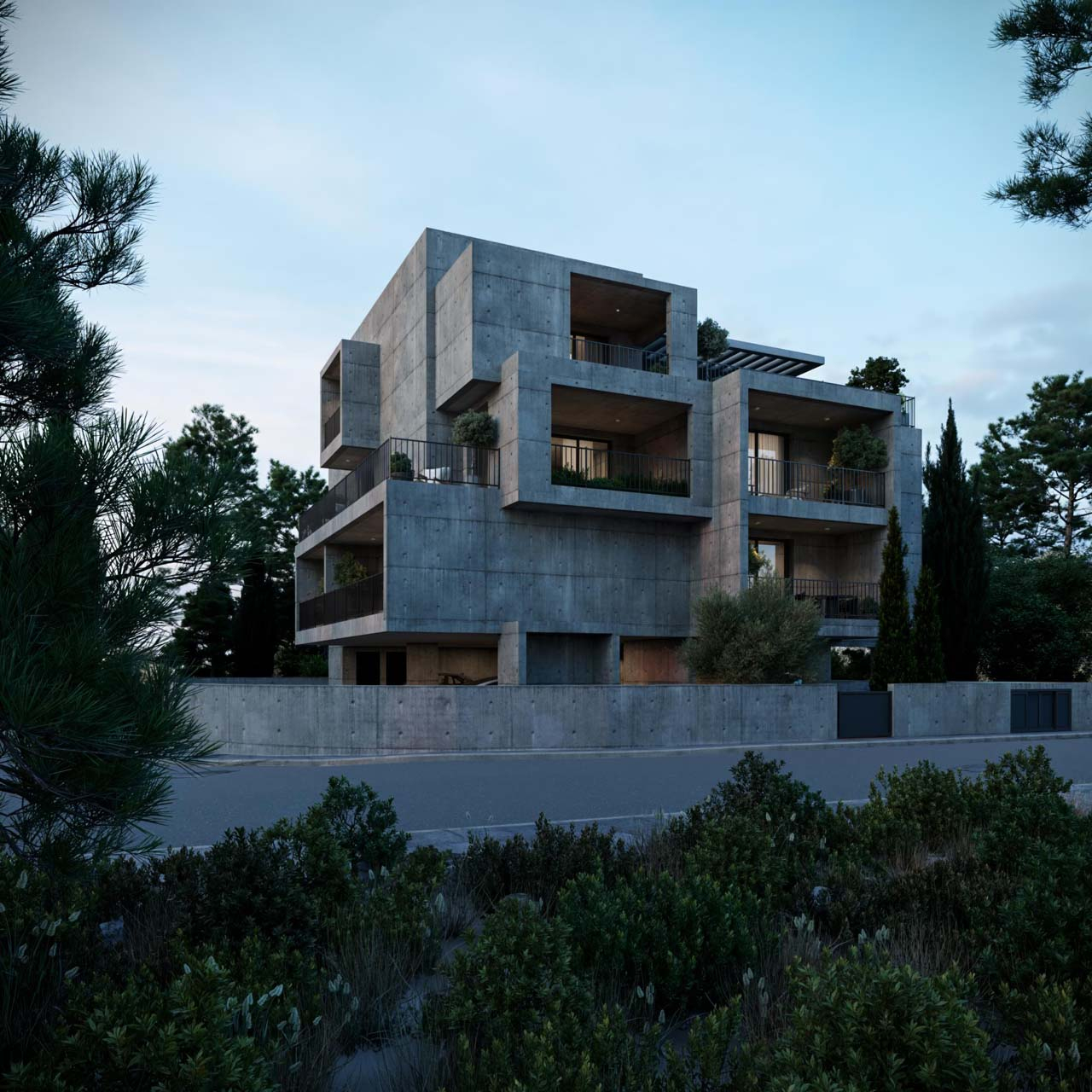 Project image