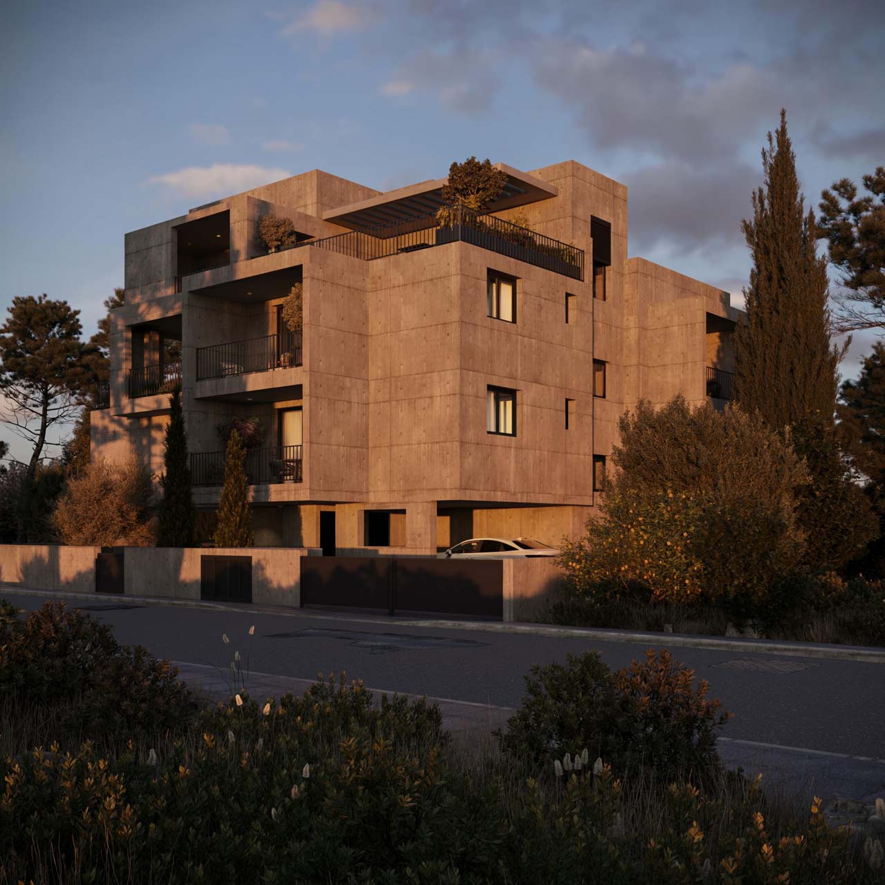Project image