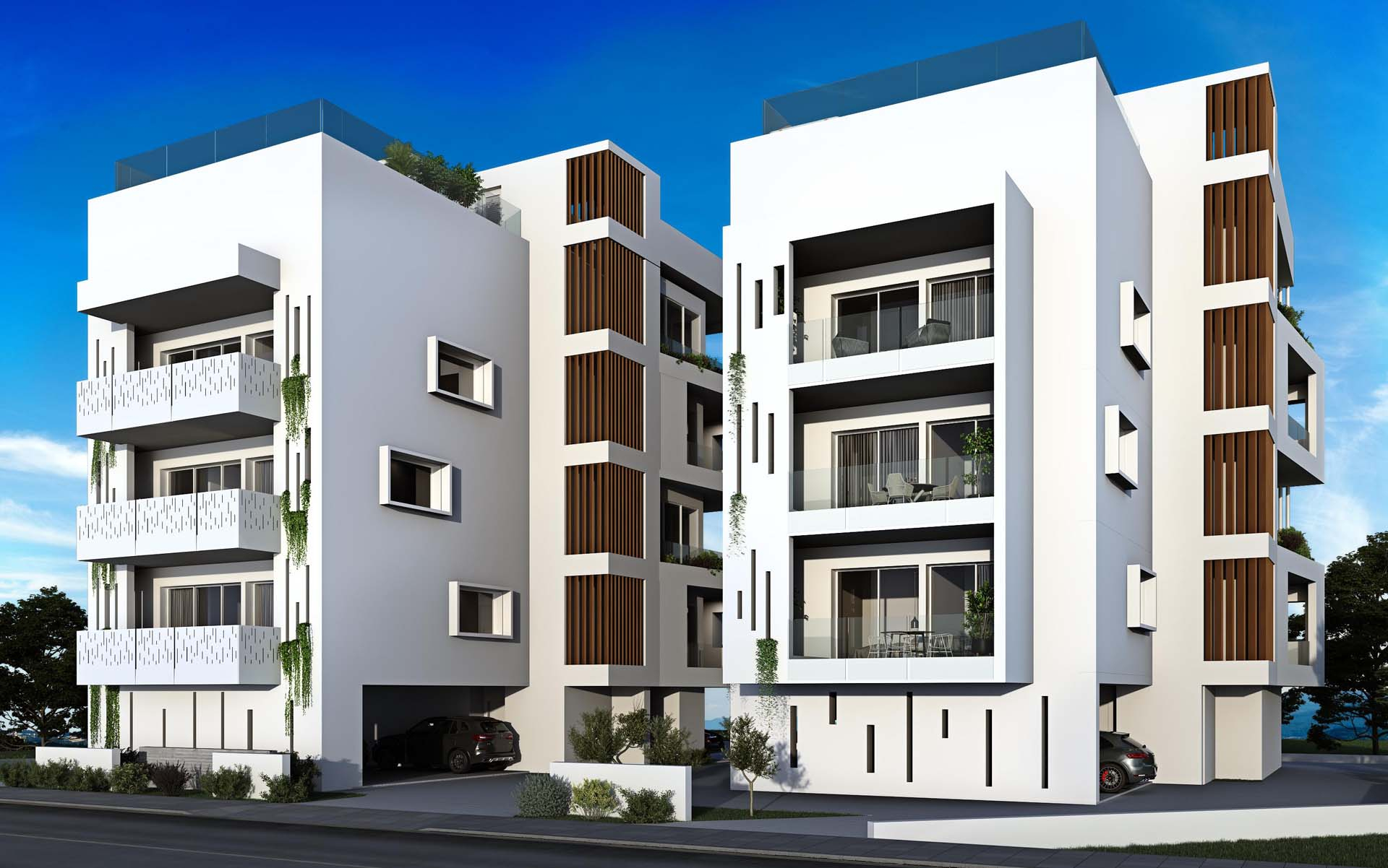 Project image