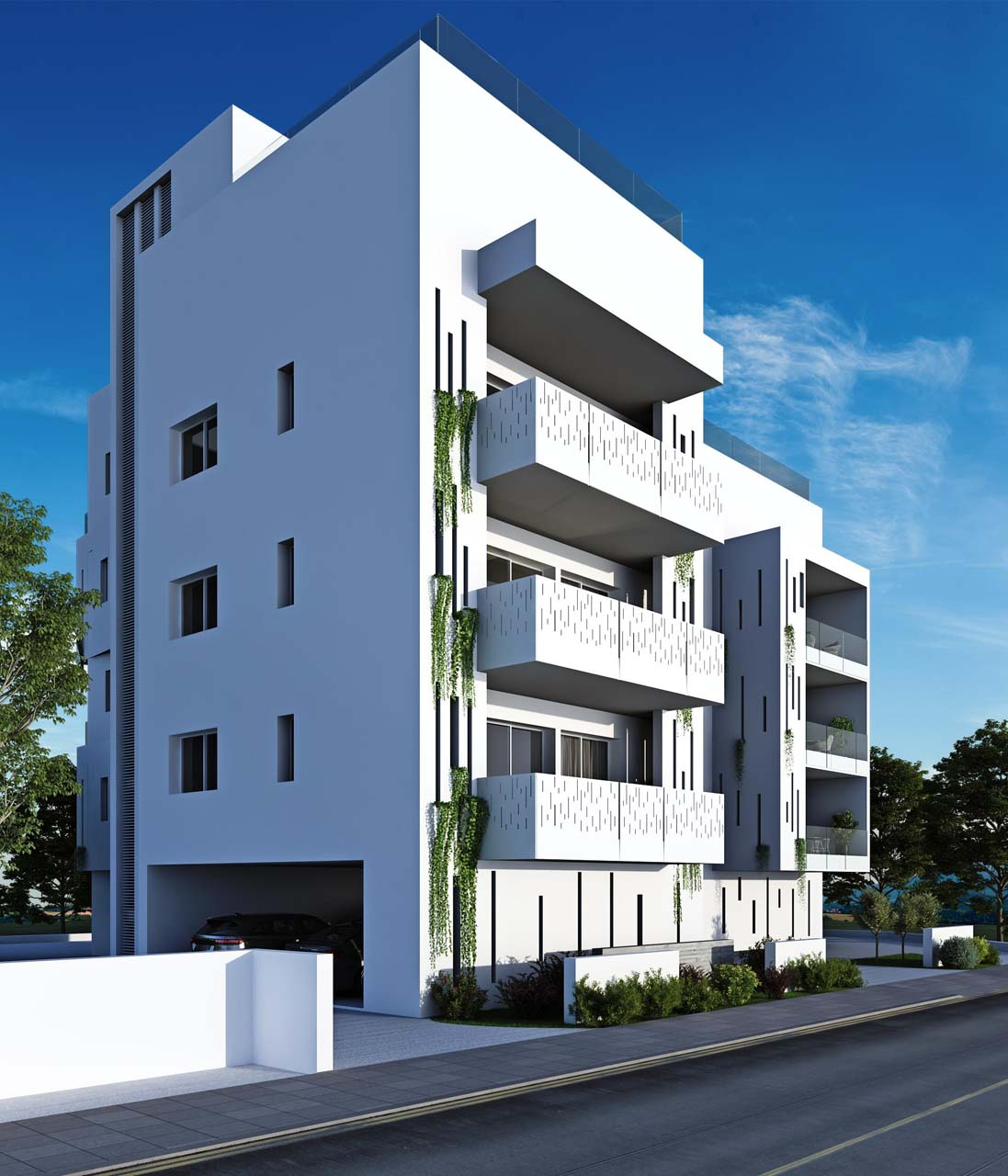Project image