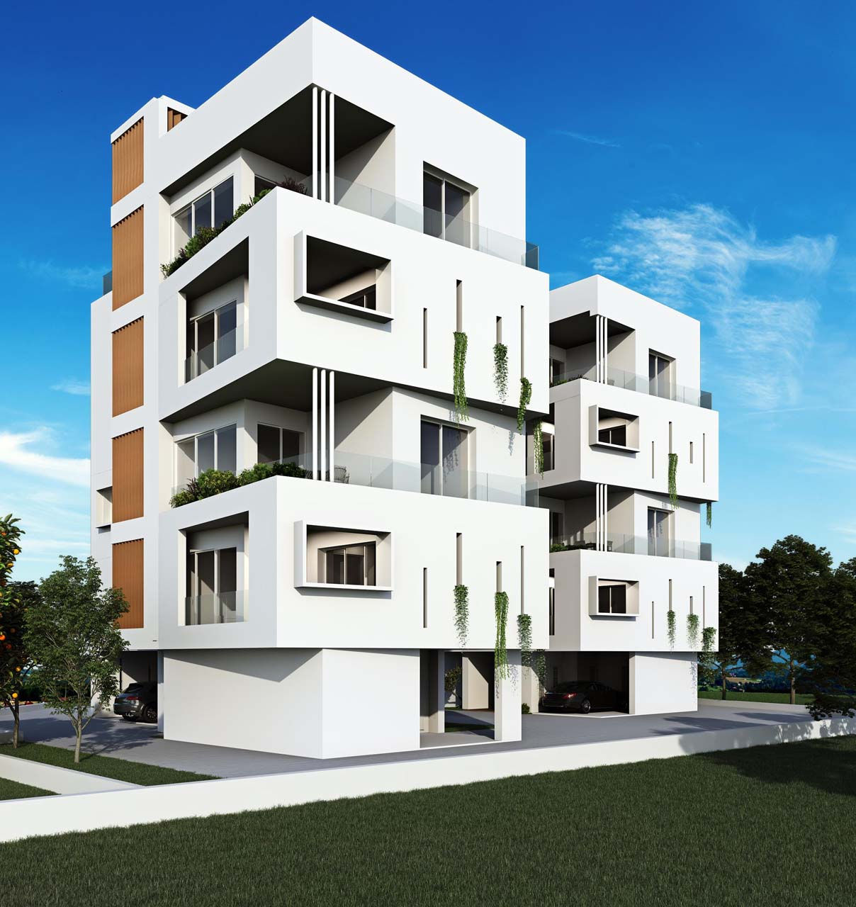 Project image