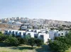 Oasis Villas השקעות נדל
