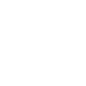 Best Initiatives, BST Group