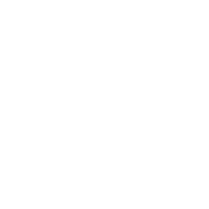 Zitouni Group